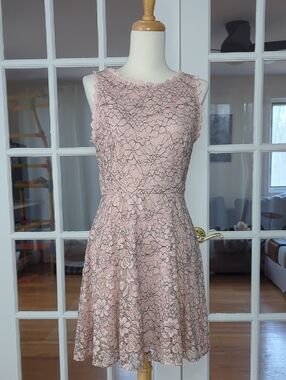 Lily Rose Blush Pink Floral Lace Sleeveless Mini Dress